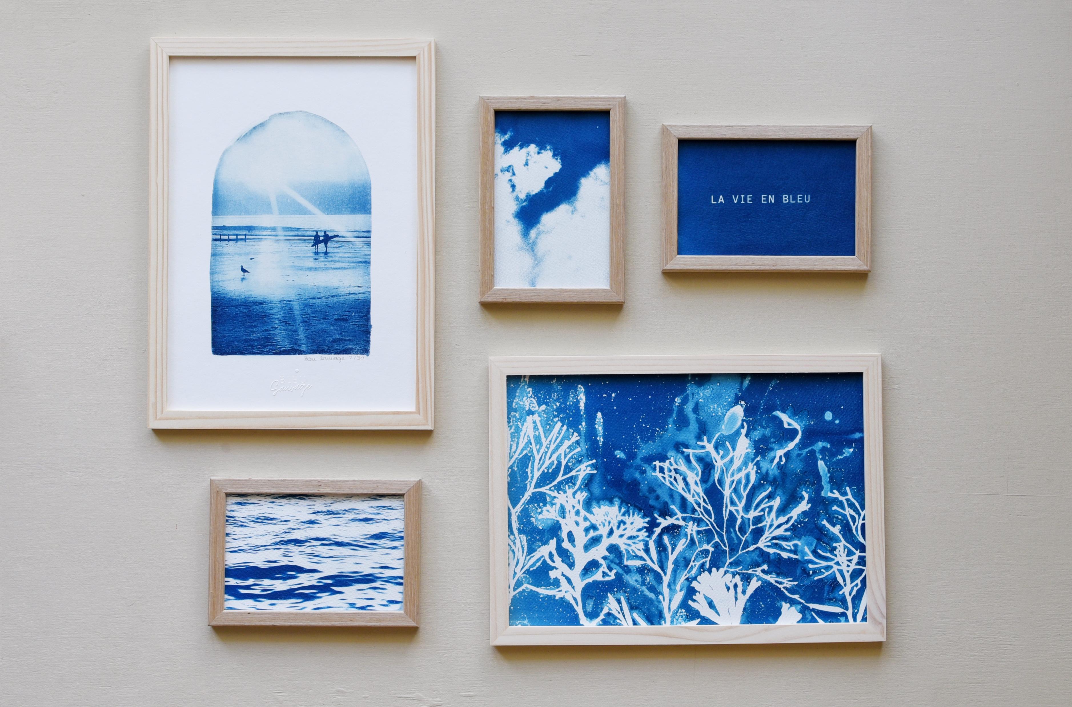 cyanotype de photo et d'algues inspiré par le bord de mer à Saint malo
