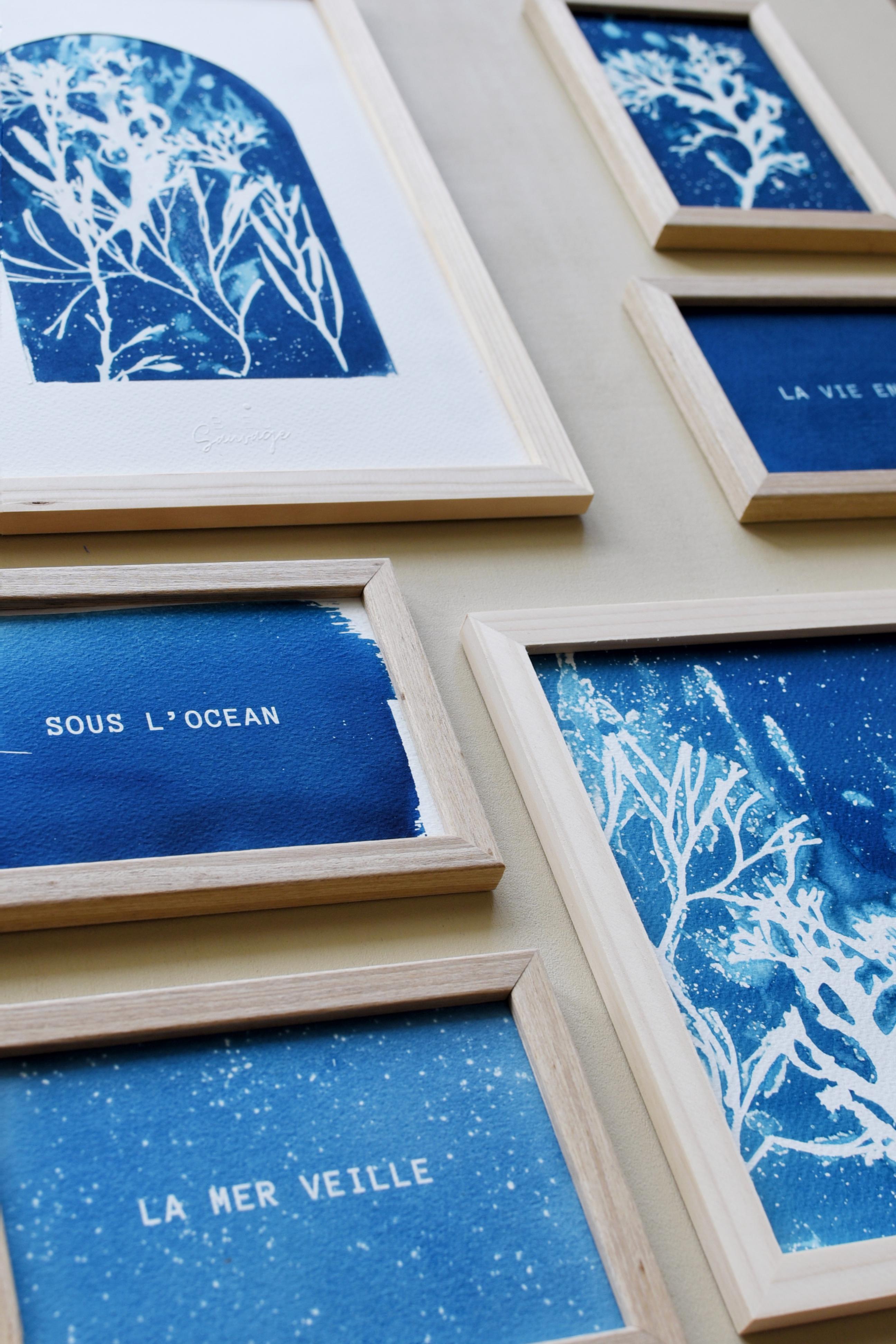 cyanotype de photo et d'algues inspiré par le bord de mer à Saint malo