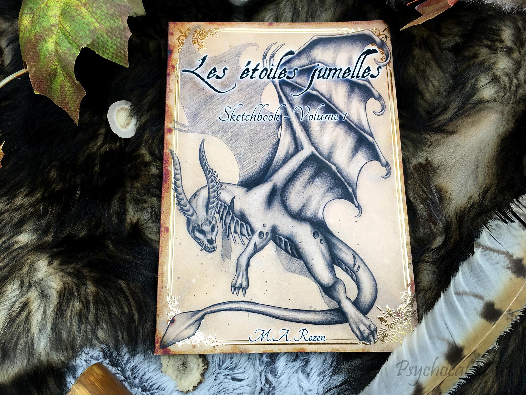 Photo d'un livre "Sketchbook" Volume 1 de Les étoiles jumelles.