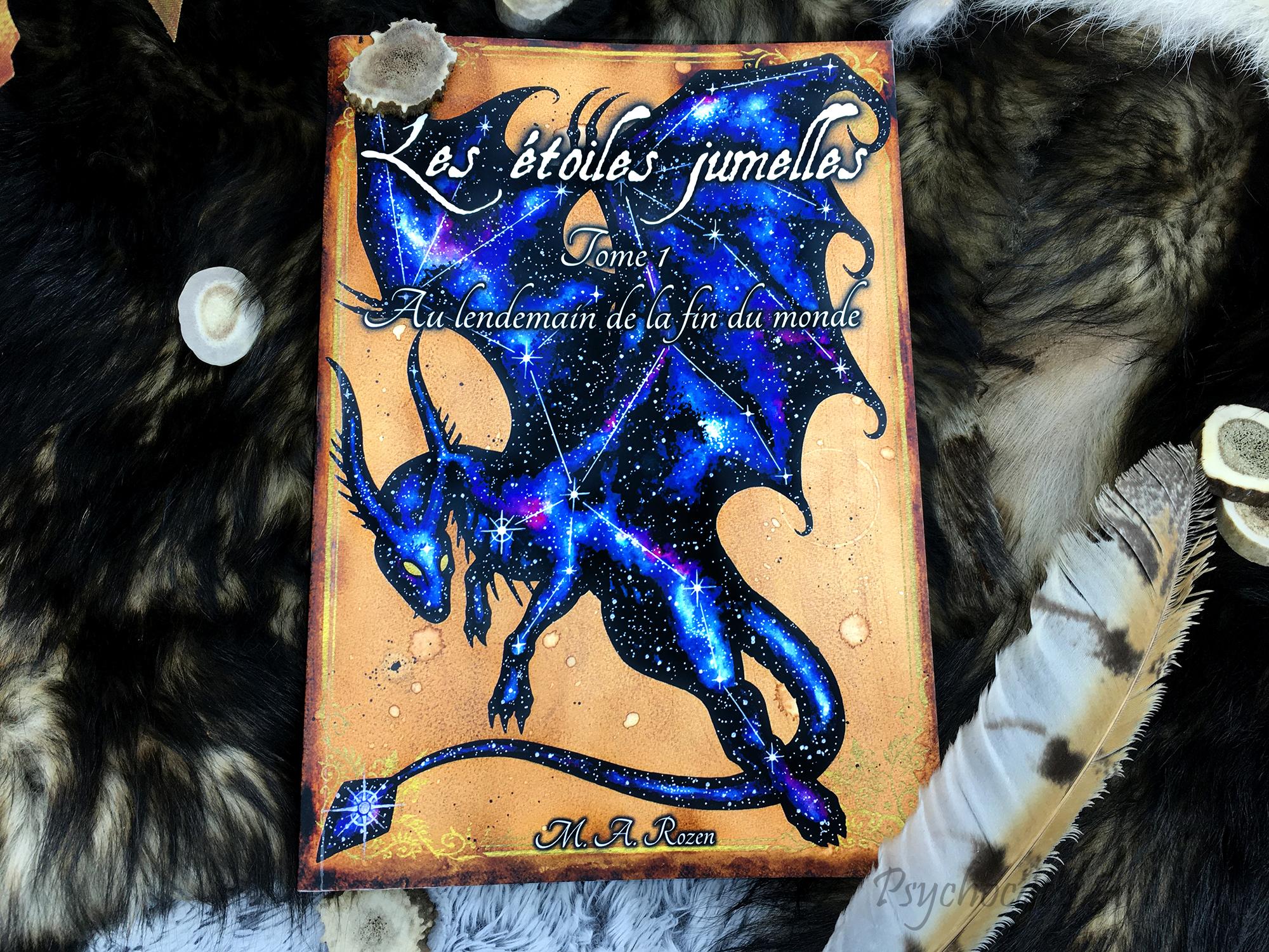 Photo d'un roman au titre de "Les étoiles jumelles" Tome 1 Au lendemain de la fin du monde.