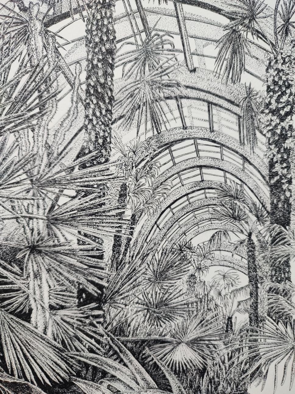 Winter gardens in pen and ink - North view