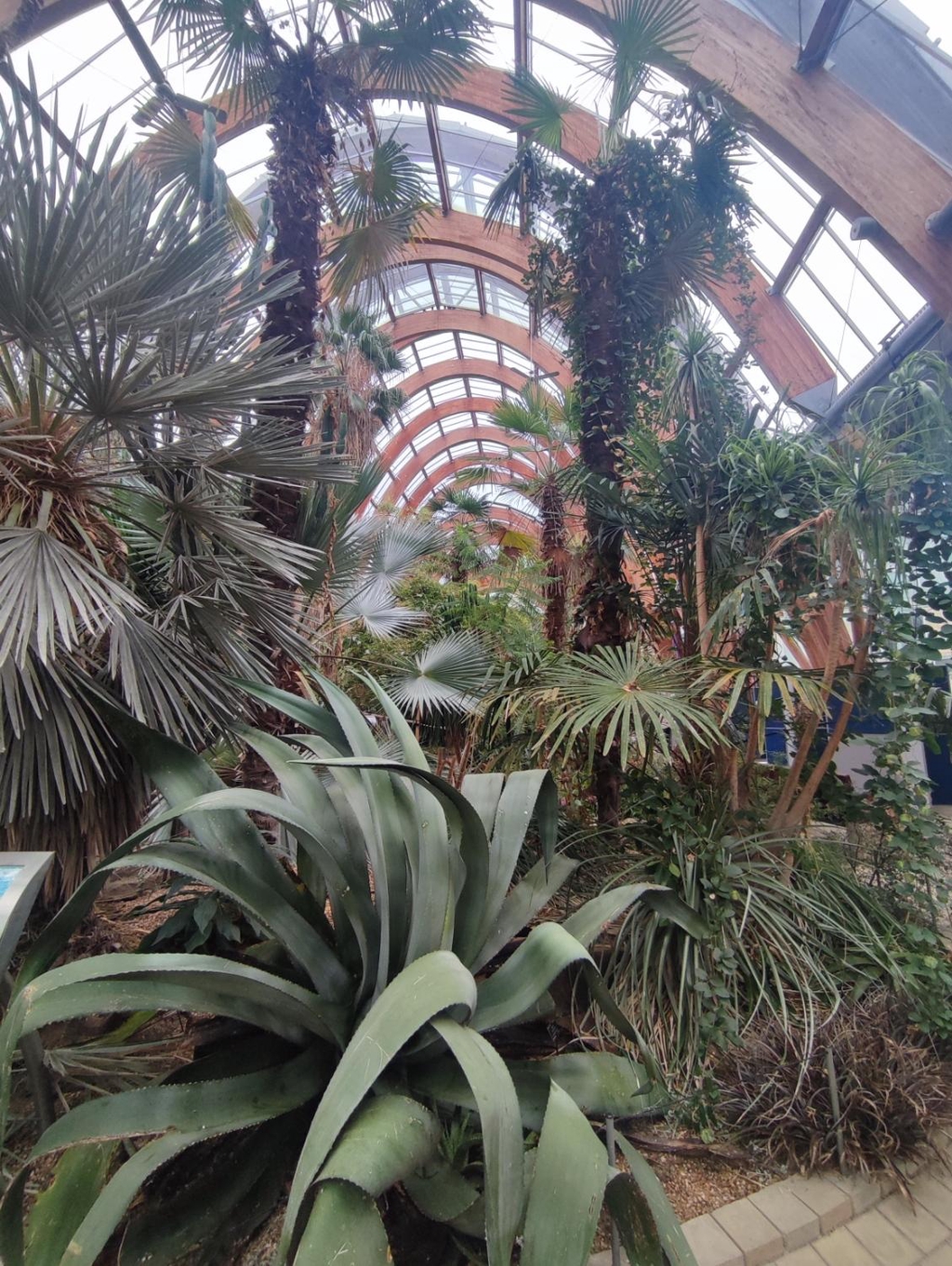 North View of the WInter Gardens