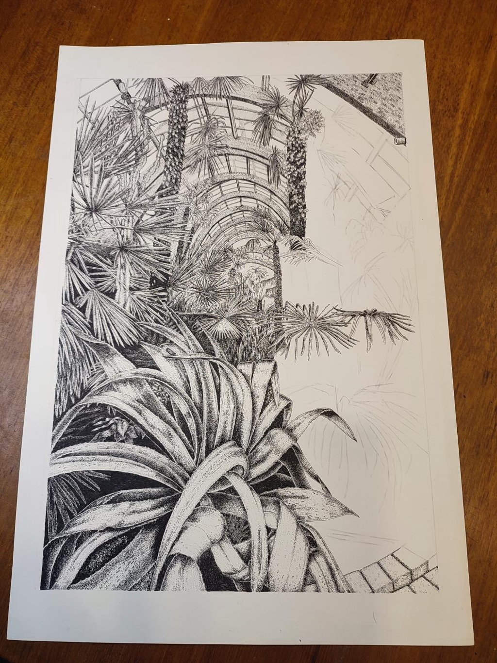 Half completed winter gardens sheffield in pen and ink