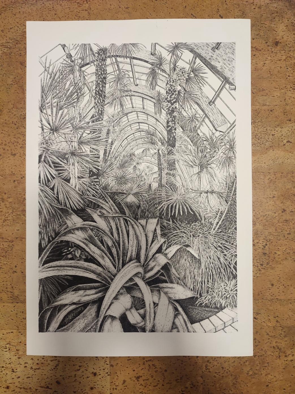 Final winter gardens North view in pen and ink
