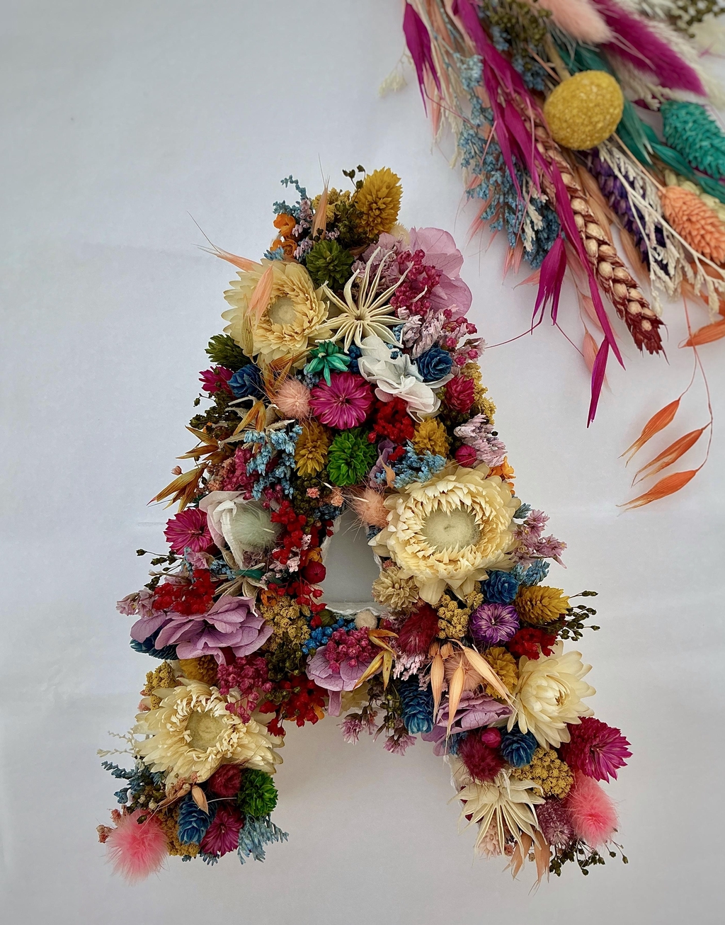 Découvre la collection