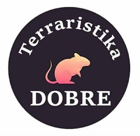 store_logo