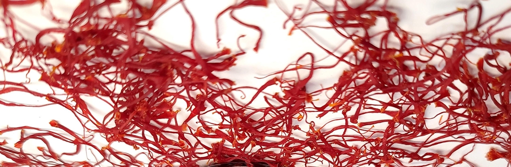 Safran bio