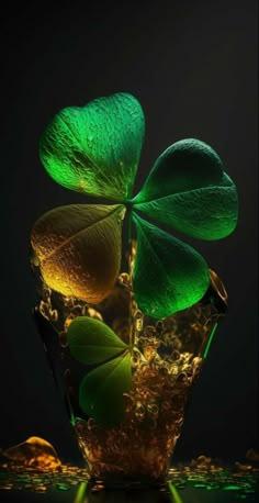 product_list_image_cover