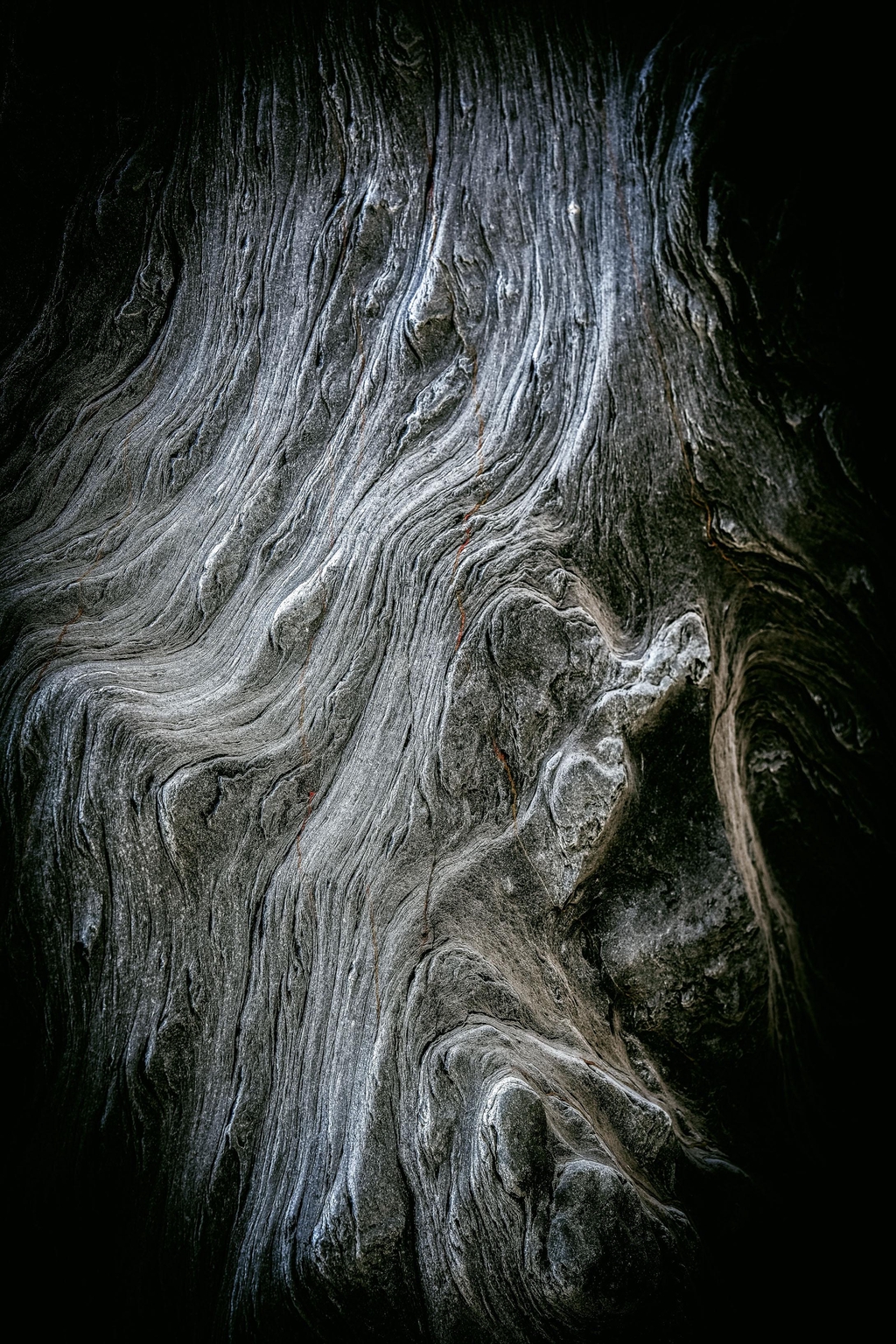 Robin Stewart Photography