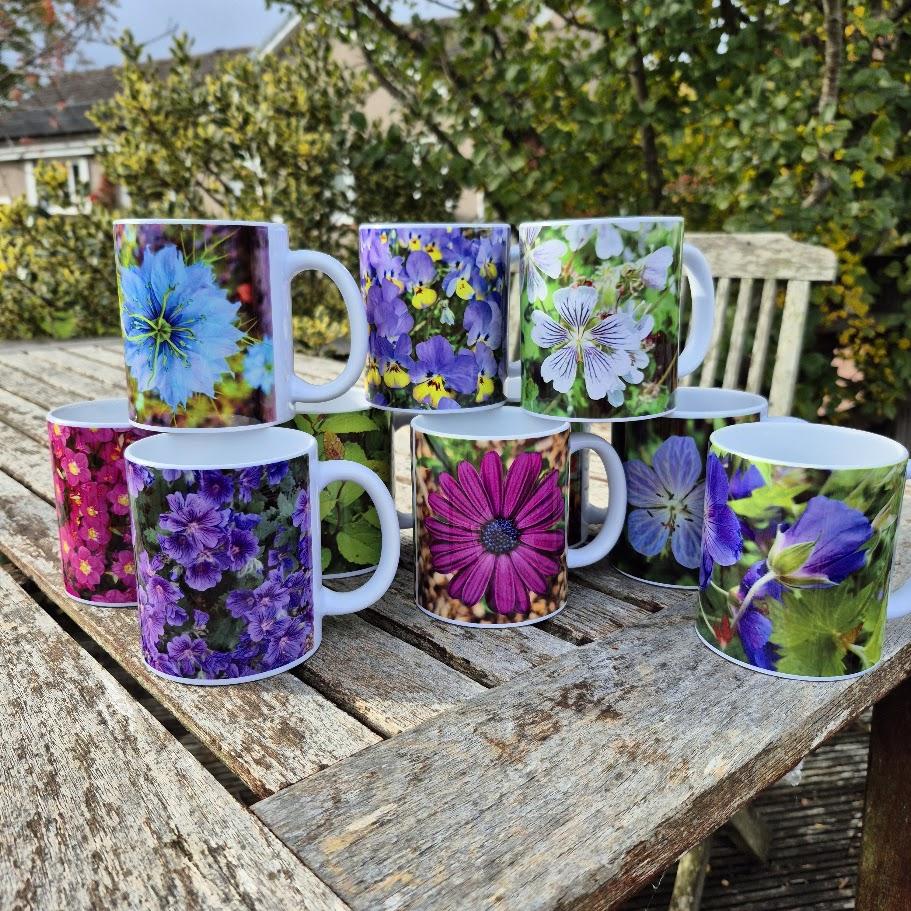Mugs