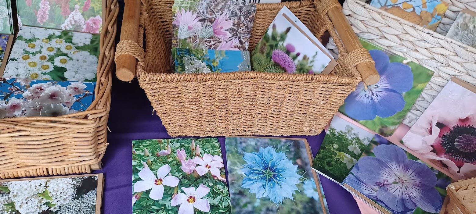 Flower Greetings Cards