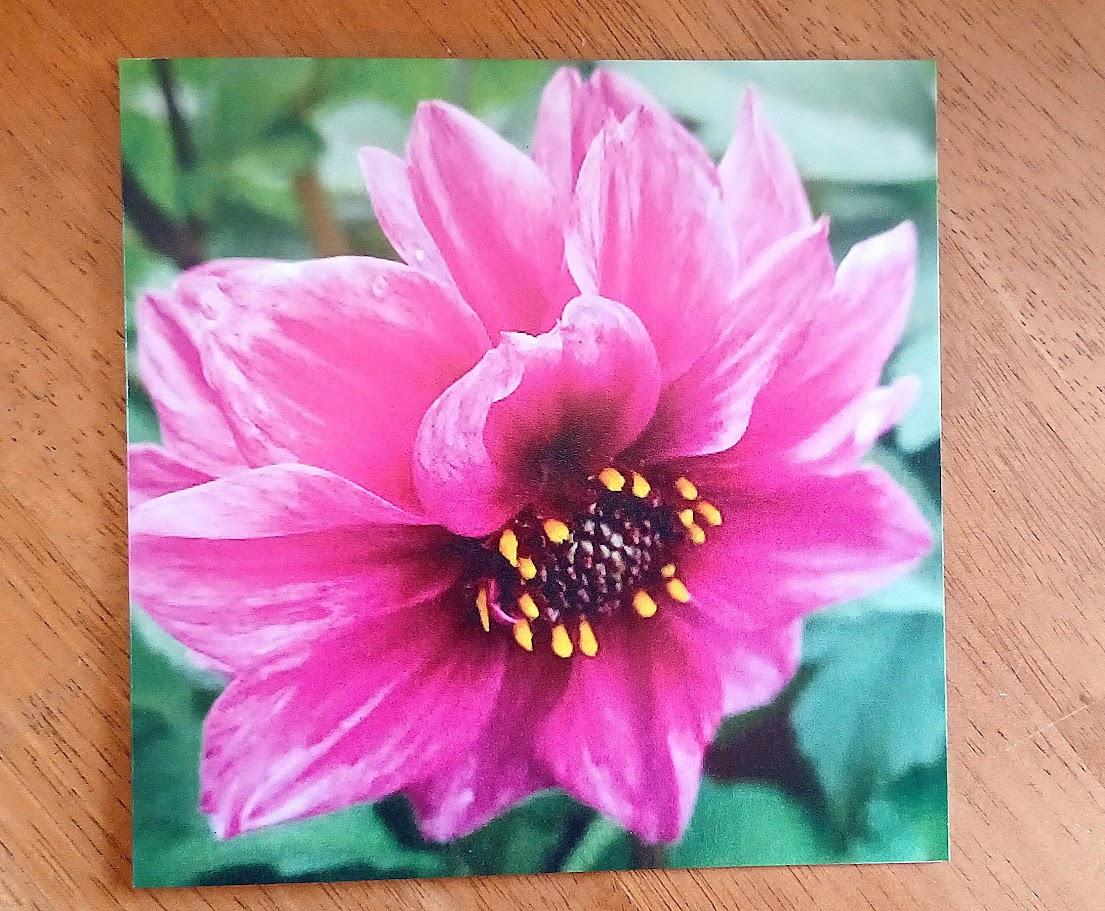 Greetings cards flowers