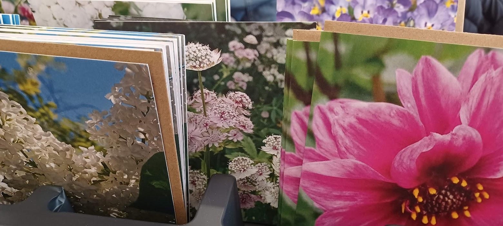 Flower greetings cards