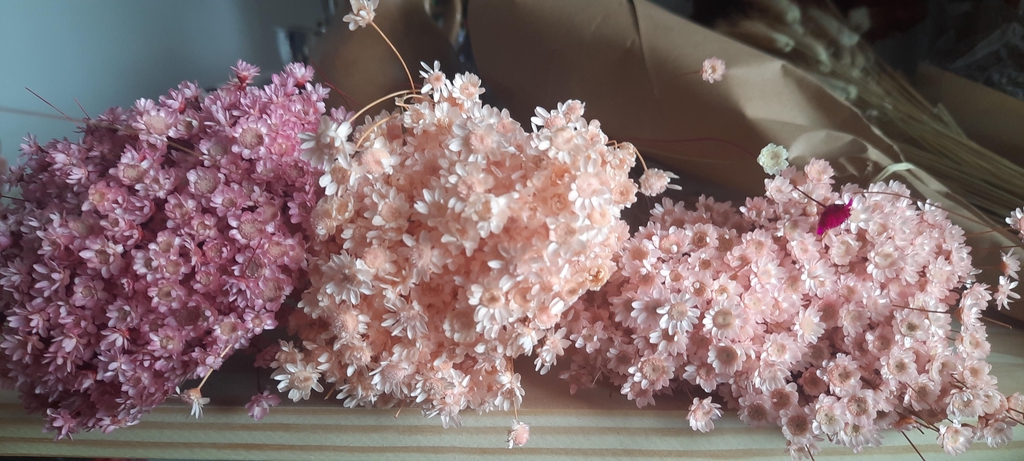 Les Yayettes - Boucles d'oreilles, accessoires mariage, bouquets fleurs séchées, décoration noel, bijoux femme, acier inoxydable, bijoux fleurs séchées 