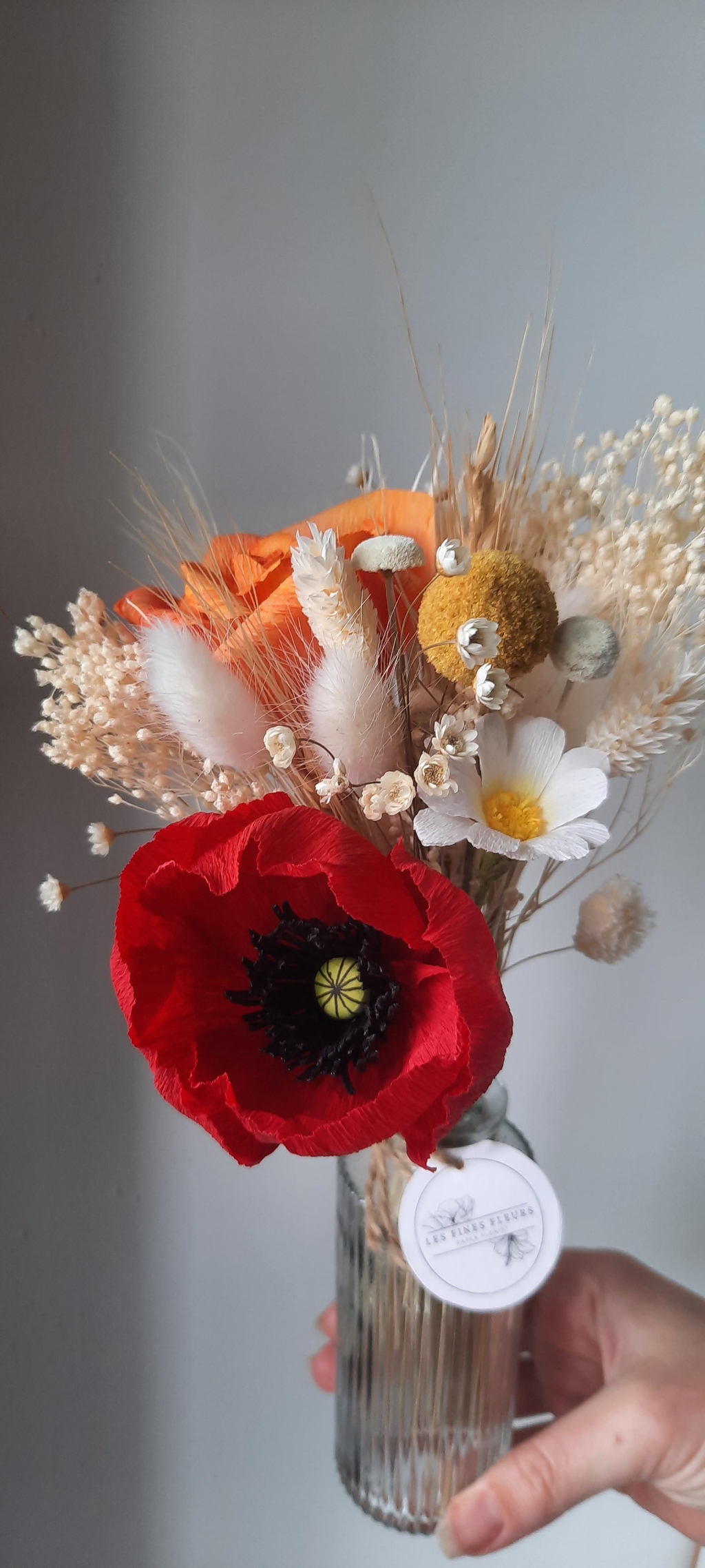 product_list_image_cover