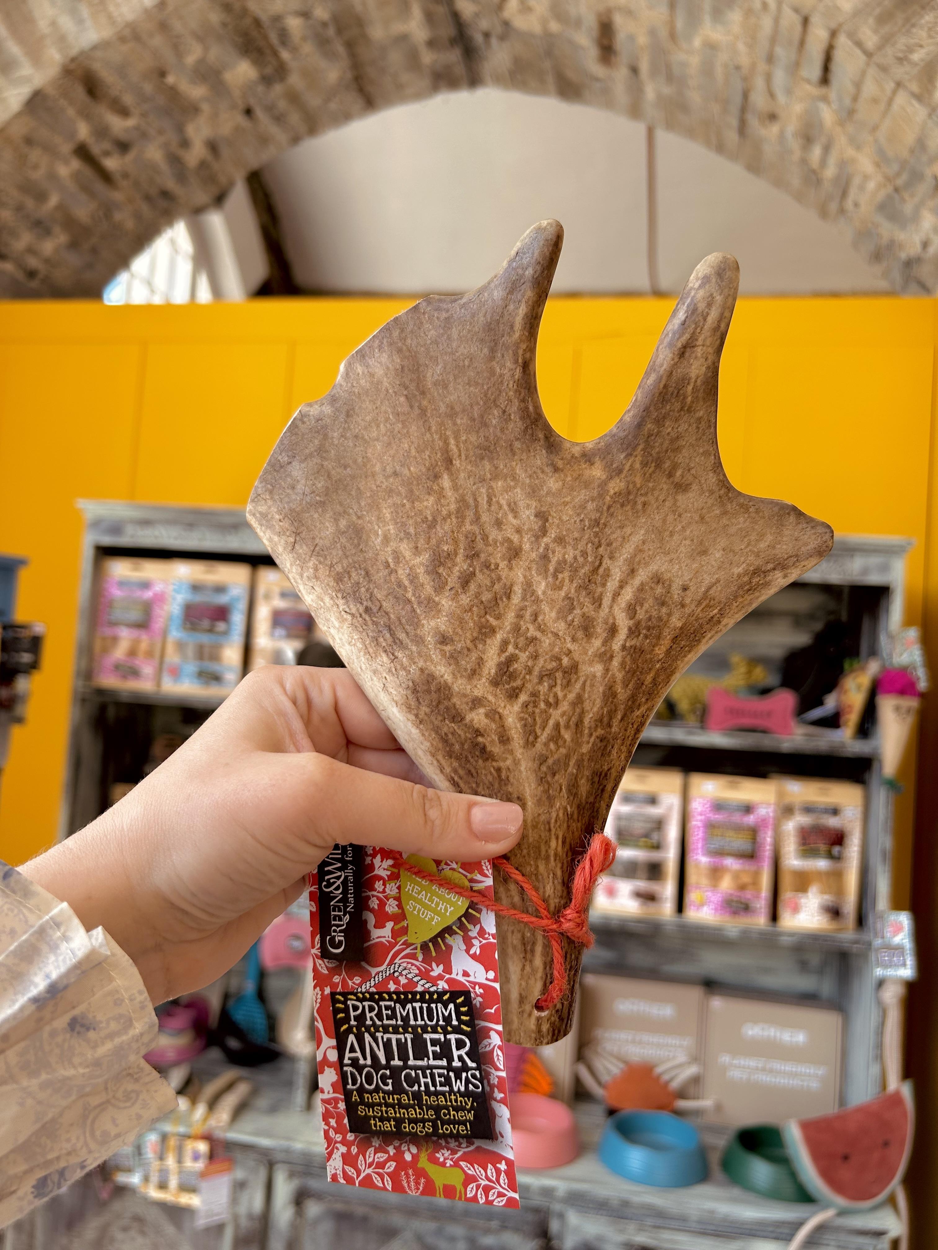 Dog Chews