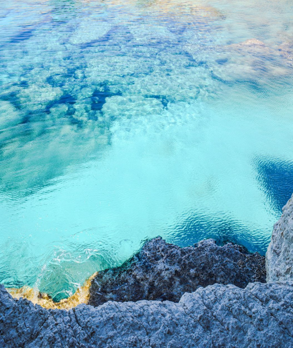 💧L'Ormus magique✨