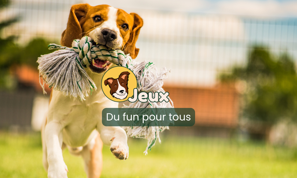 jeux pour chiens toucanin.fr par respectdogs toulouse