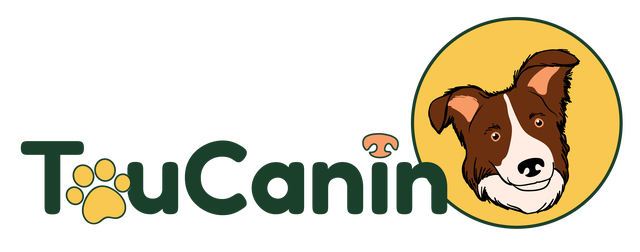 Toucanin.Fr
Des accessoires utiles, des jeux malins, des friandises saines et du fait à la main.