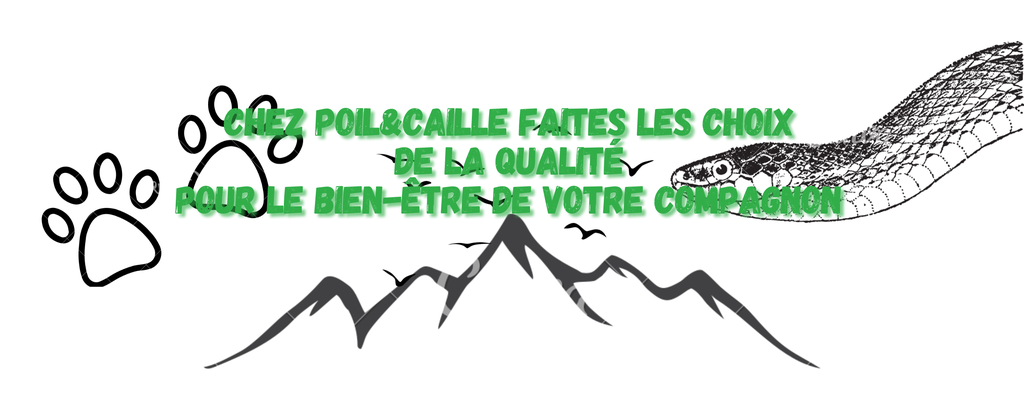 banner_image