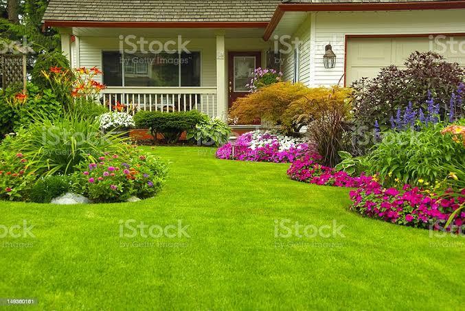 Aquele jardim perfeito com os nossos produtos você só encontar aqui .