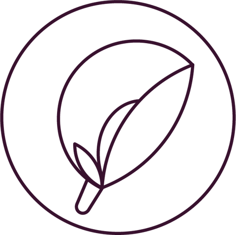 Anchan Massage Lounge Logo