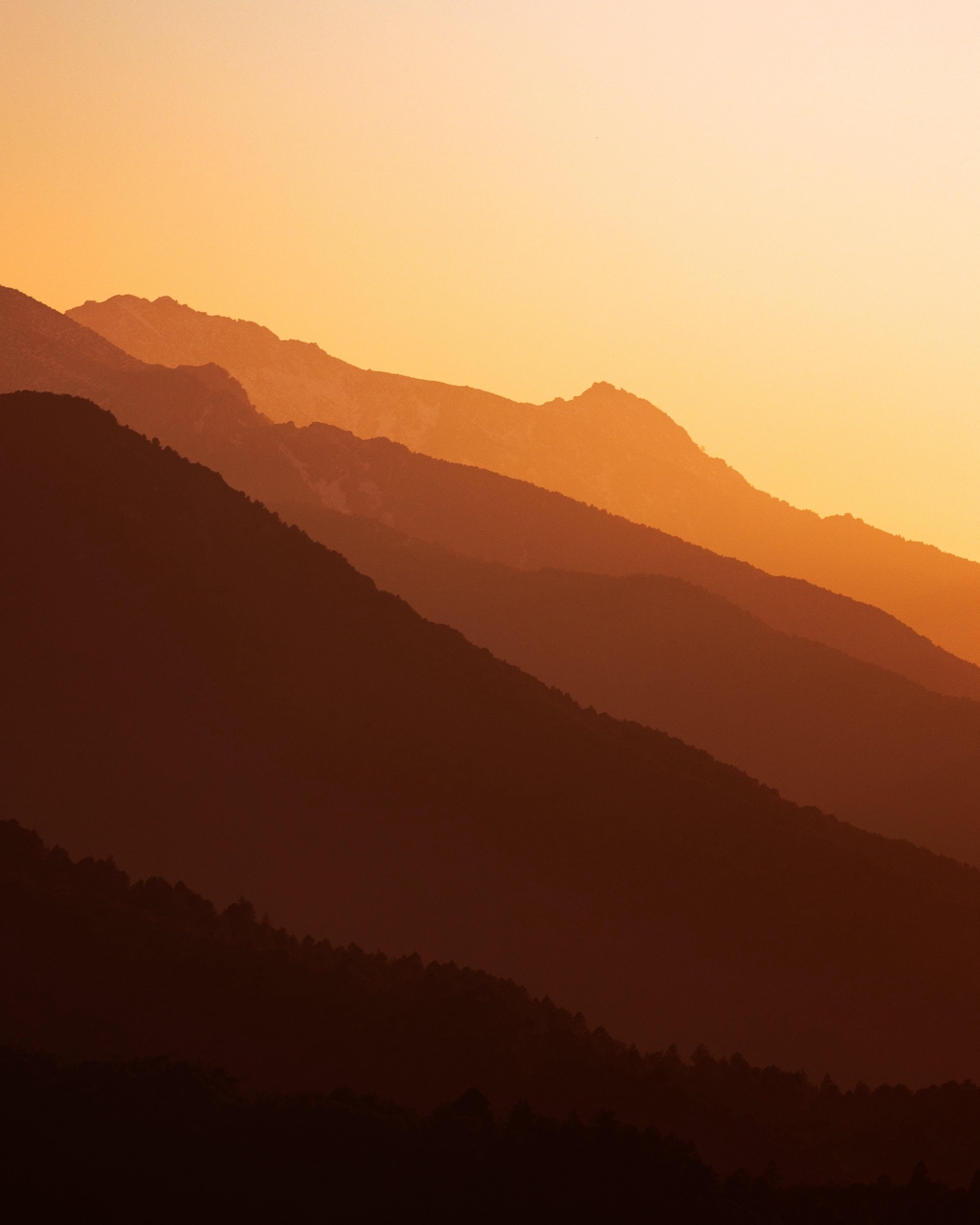 Histoire Savon Corse 