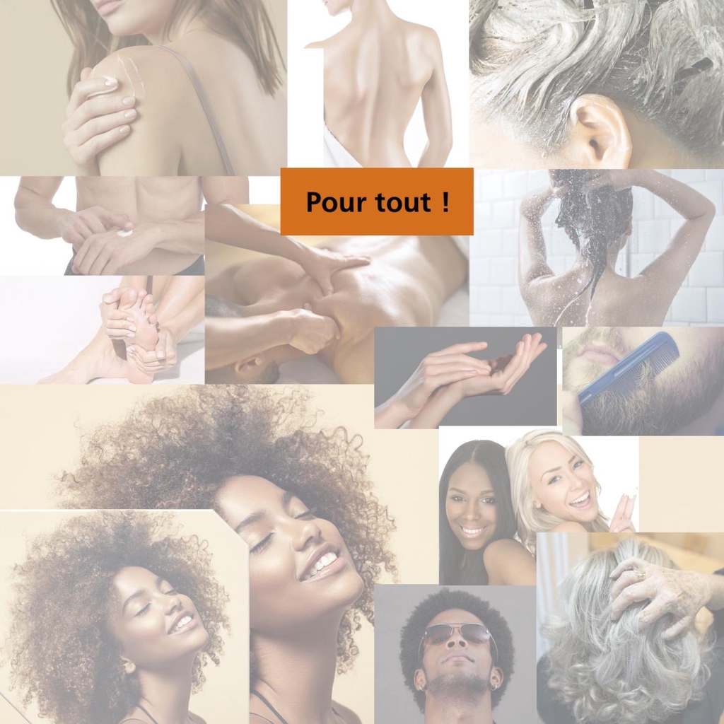 <!-- Google tag (gtag.js) -->

