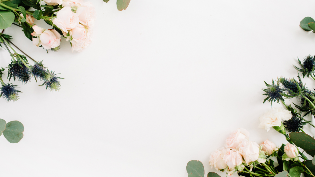 Wild Clay Collection Website