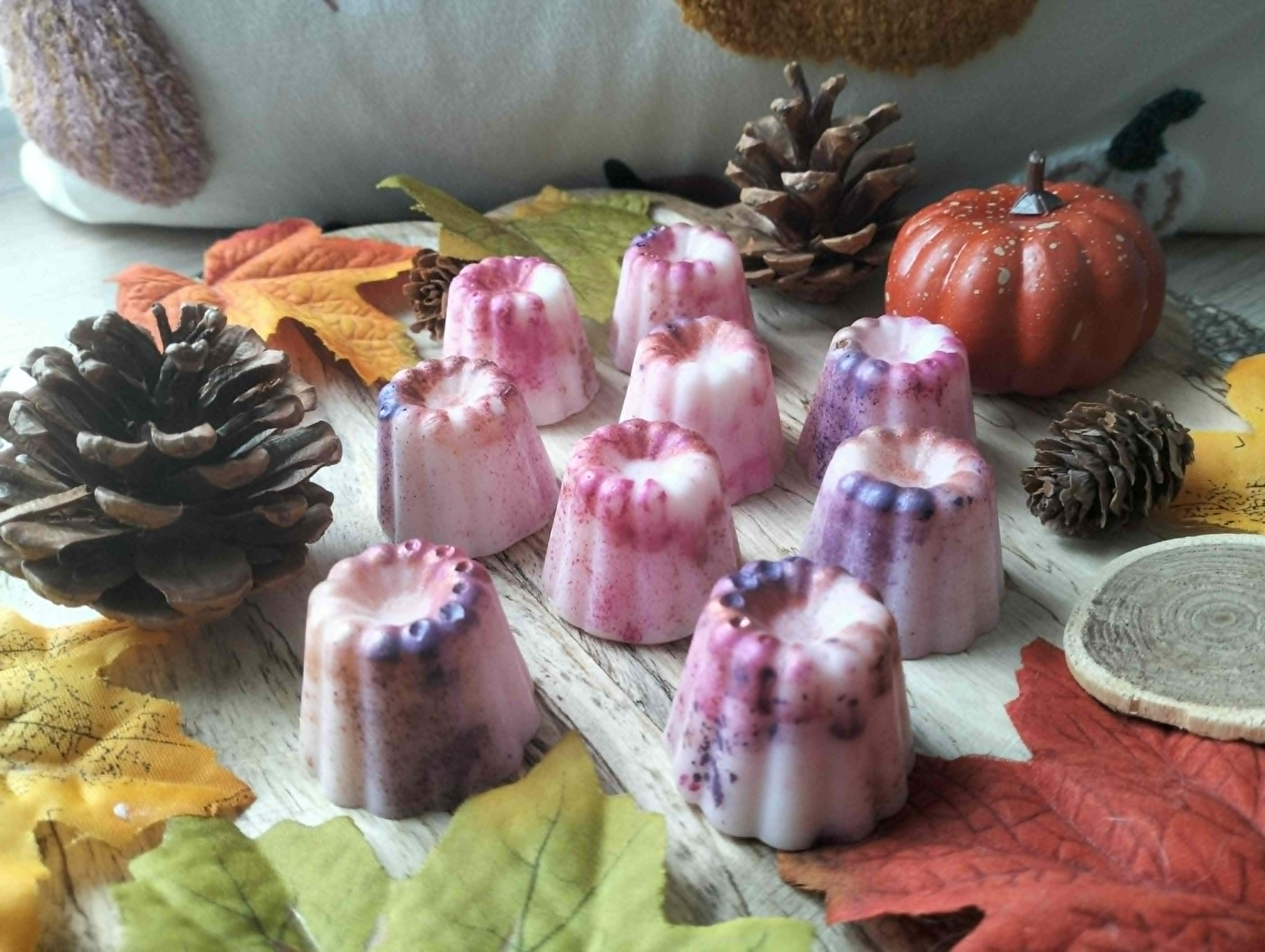 Fondants parfumés de cire