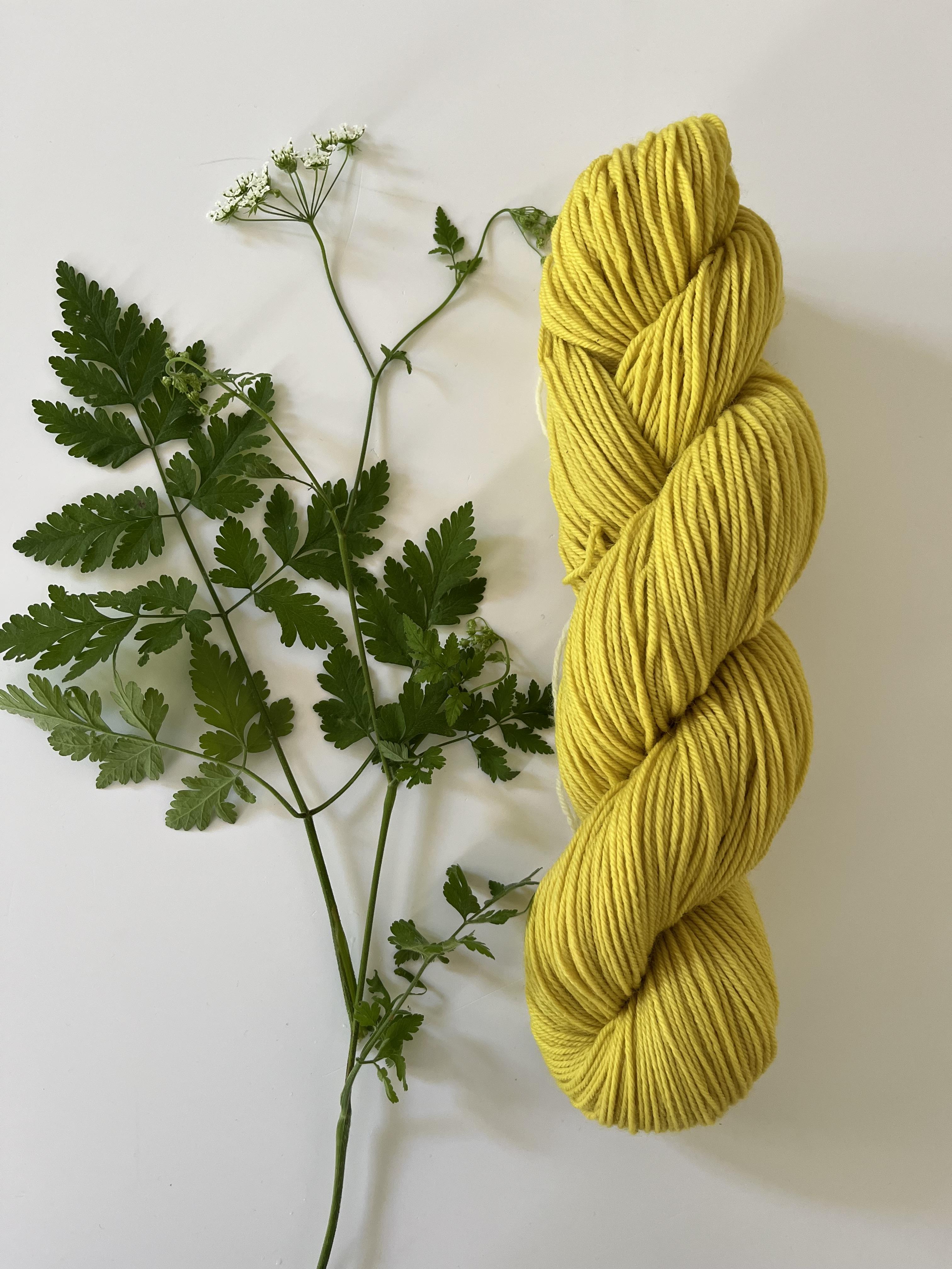 All you knit is love