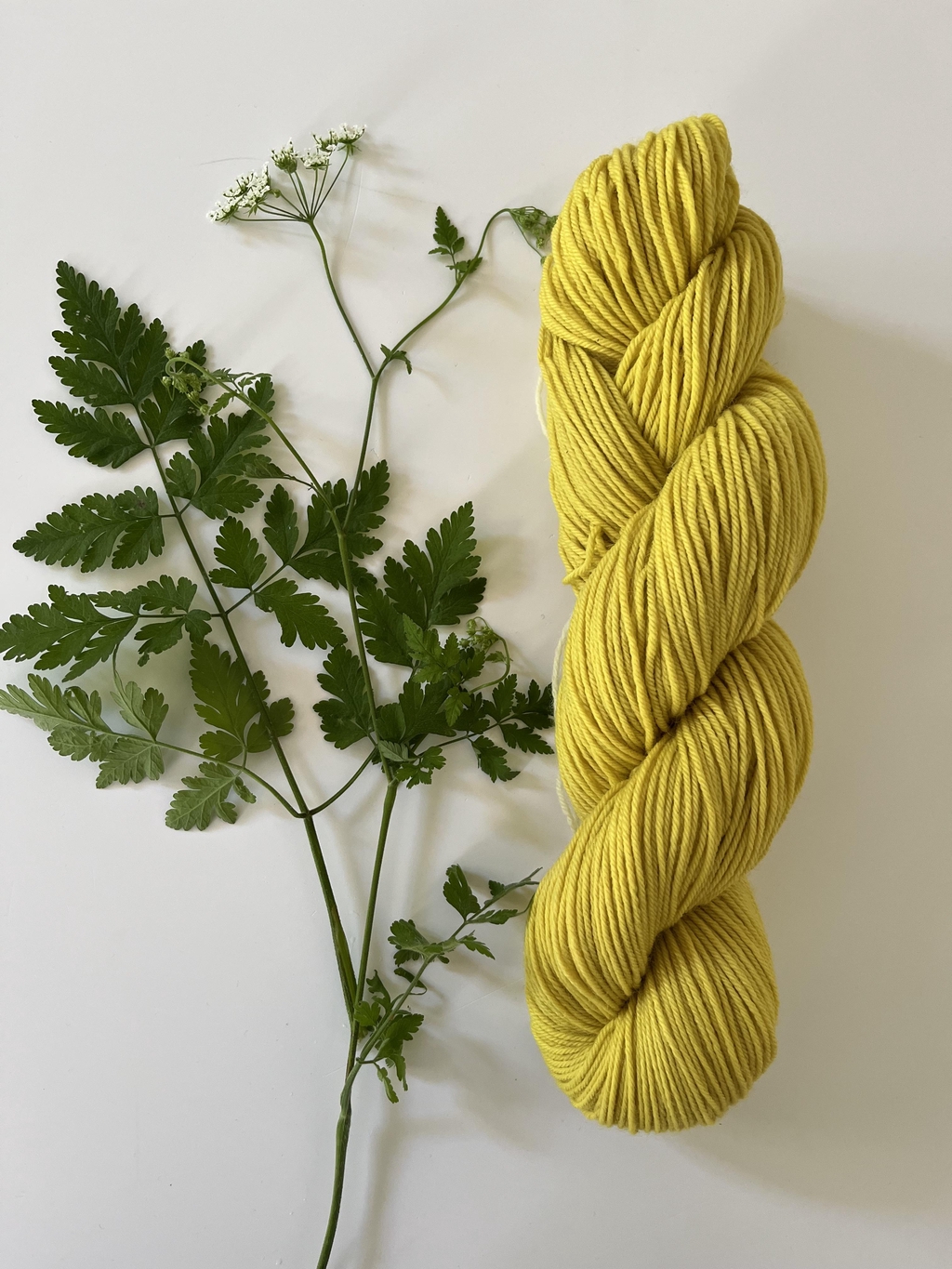 Laines : teinture naturelle et végétale 