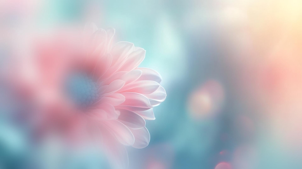 Bienvenue dans une librairie un peu spéciale…