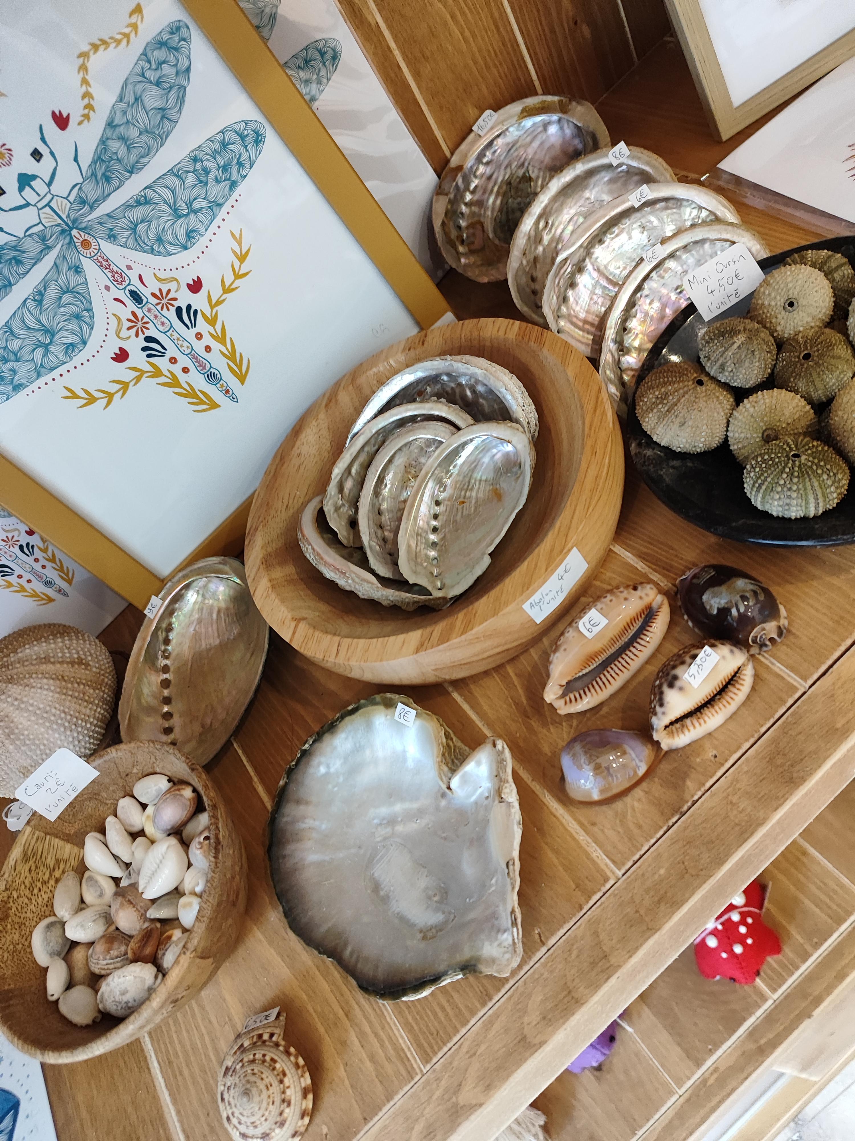 Coquillages