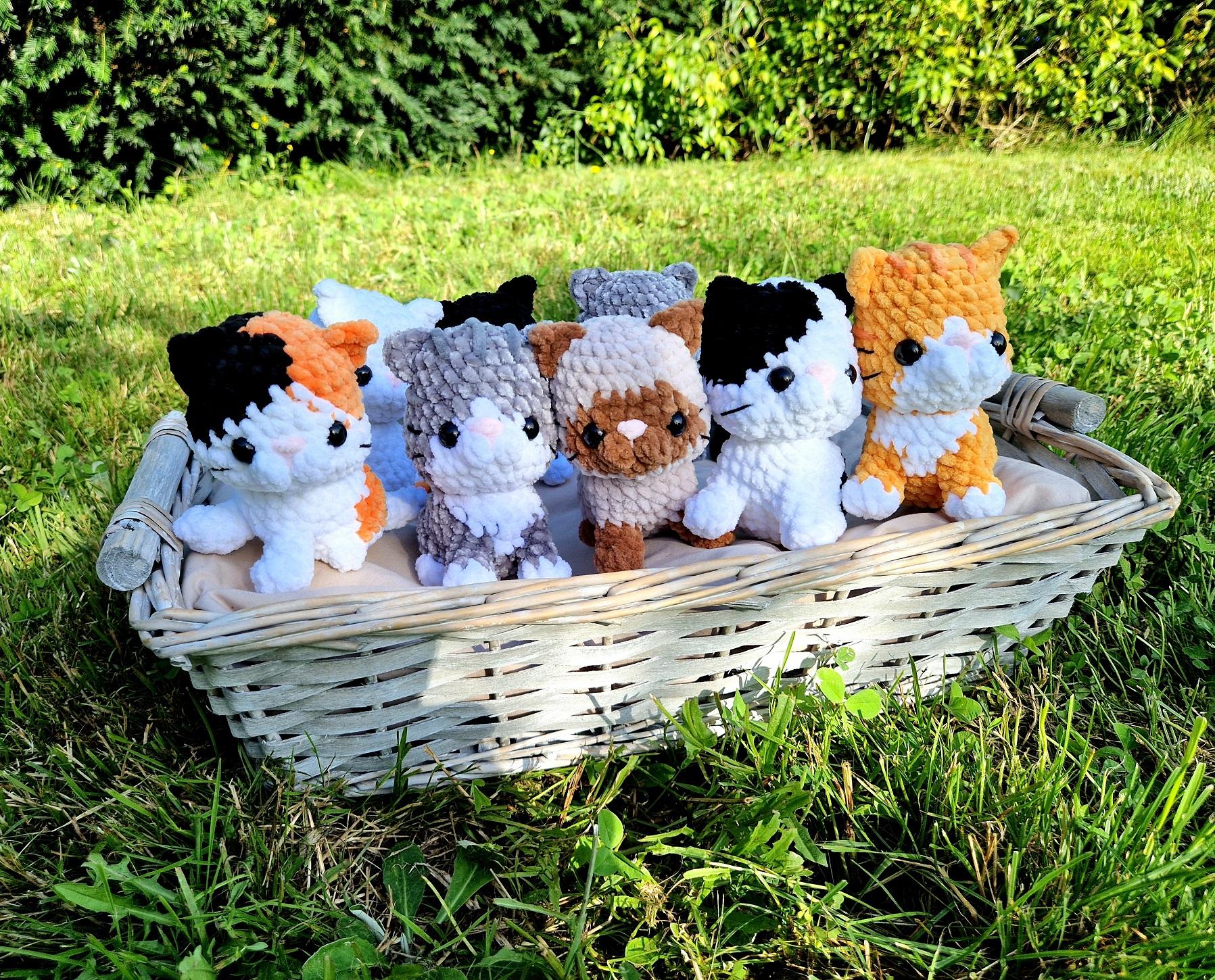 Chiens & Chats