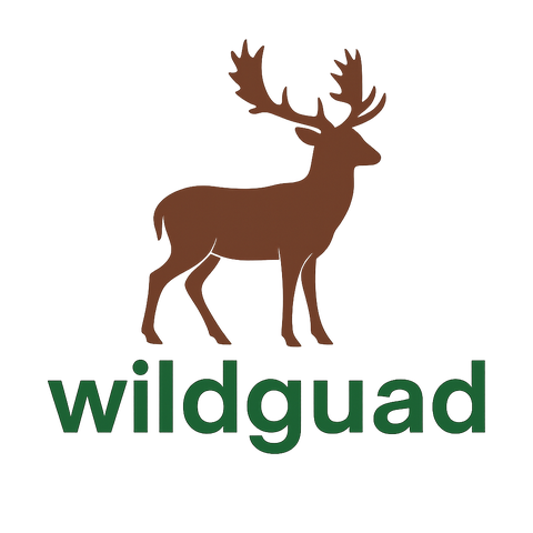 store_logo