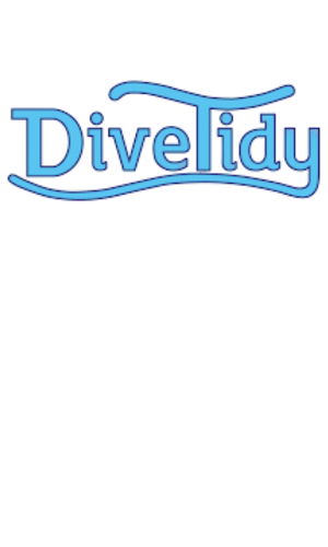 DiveTidy