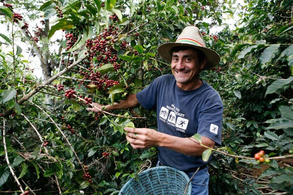 Specialty Coffee 