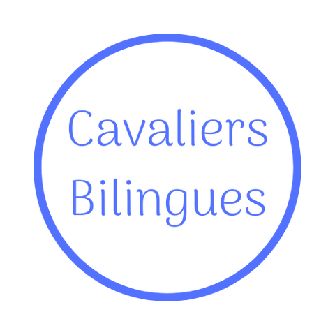 store_logo
