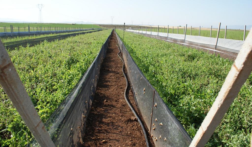 NUOVI ORIZZONTI SAN PAOLO
