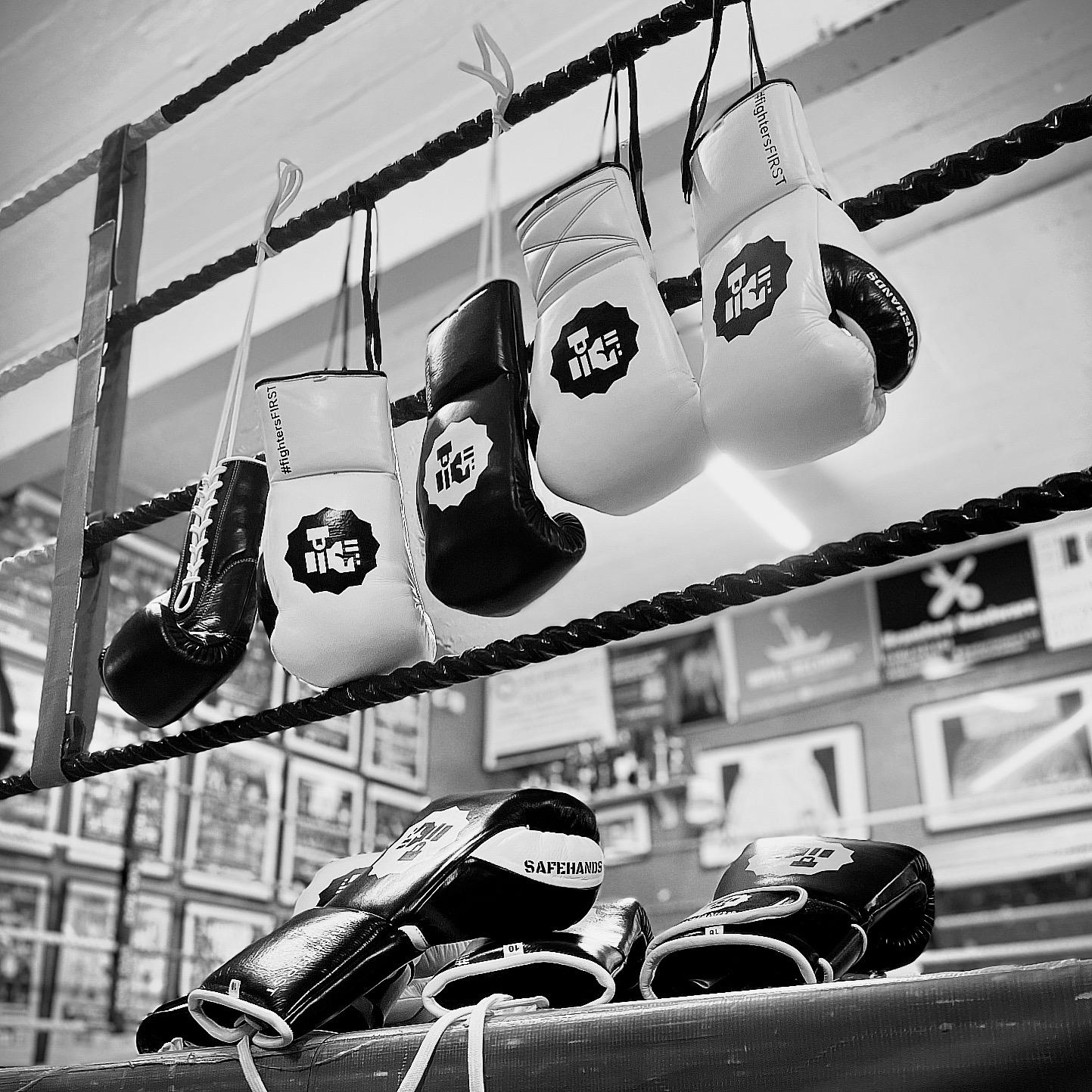 TRAINING/SPAR BOXING GLOVES