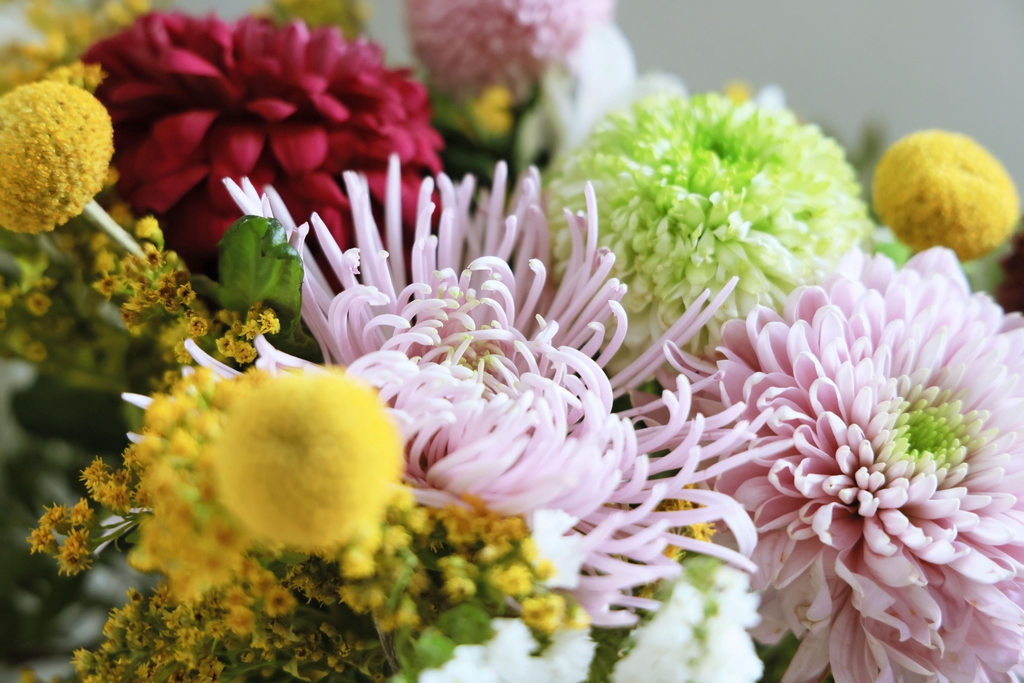 banner_image