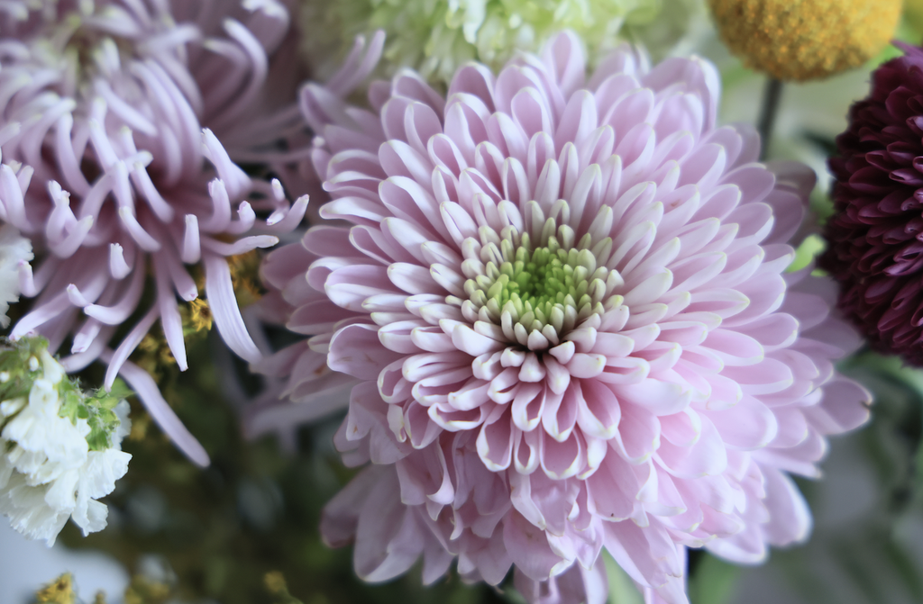 banner_image