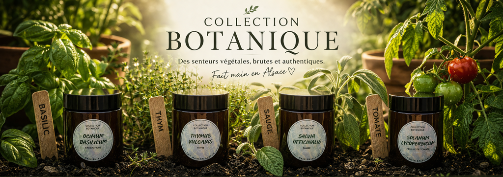 Botanique
Jardin
Thym
Sauge
Feuille de tomate
Tomate
Basilic
Italie