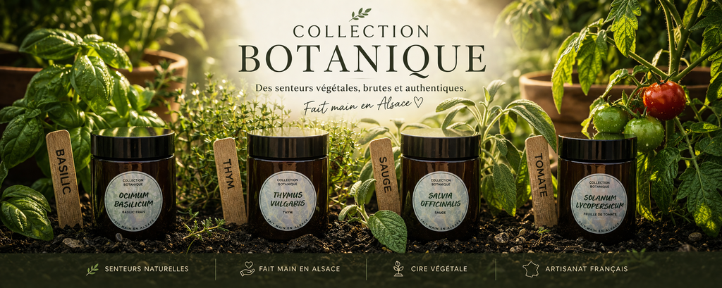 Botanique
Jardin
Thym
Sauge
Feuille de tomate
Tomate
Basilic
Italie