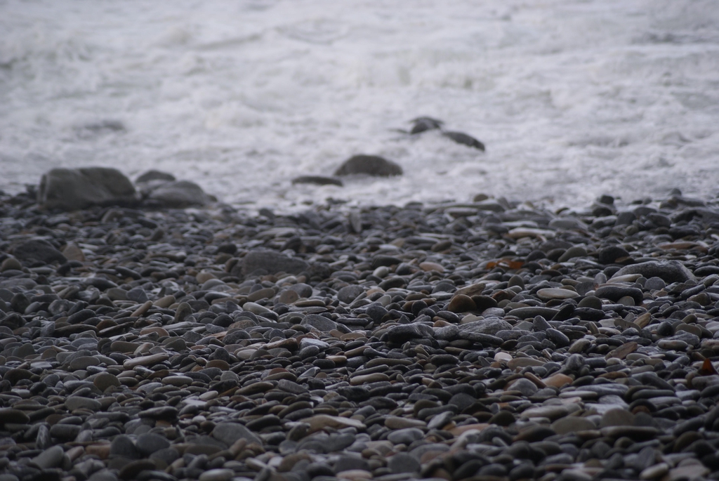 banner_image