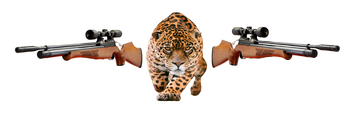 banner_image