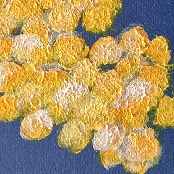 V I V A N C E S

Une immersion dans l’essence même de la faune et de la flore, captant la pulsation organique et la beauté silencieuse du souffle méditerranéen.