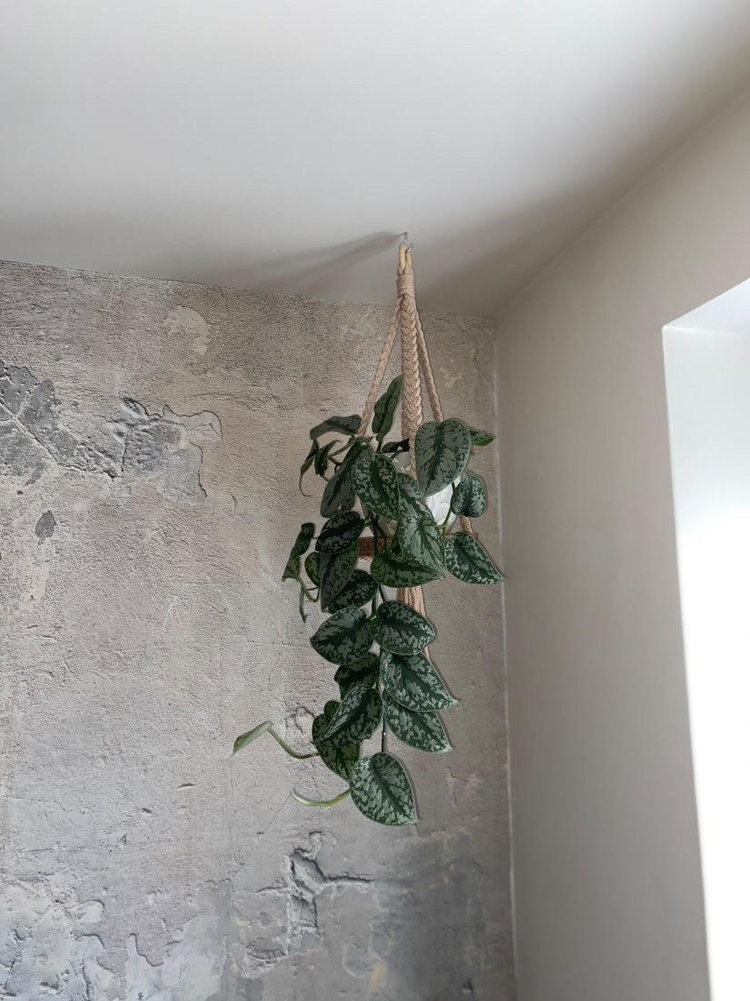 banner_image