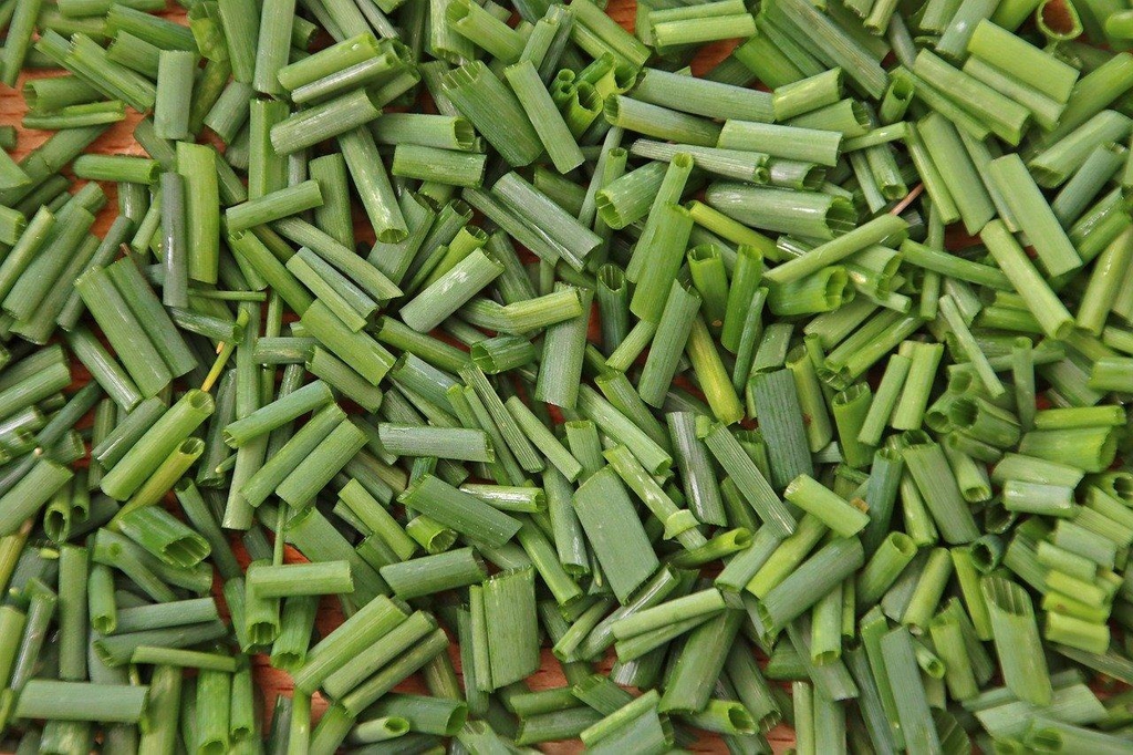 erbe aromatiche biologiche
